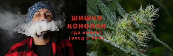 mix Богородицк